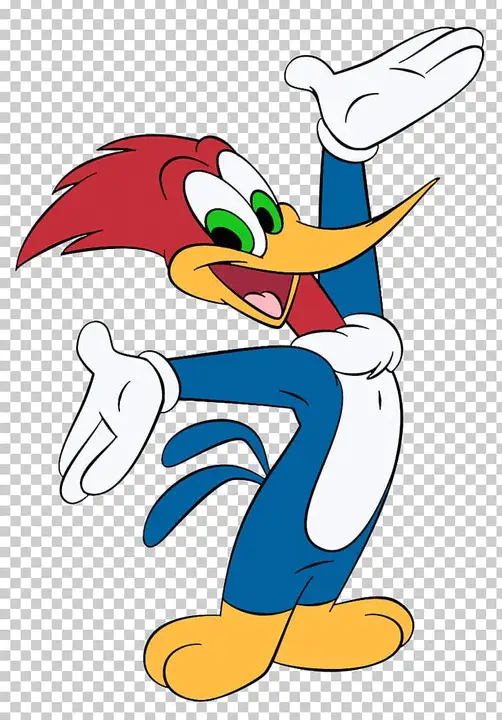 Upper Stage Flight Experiment : 高空飞行试验