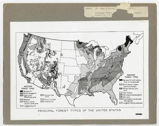 United States Forest Service : 美国森林服务