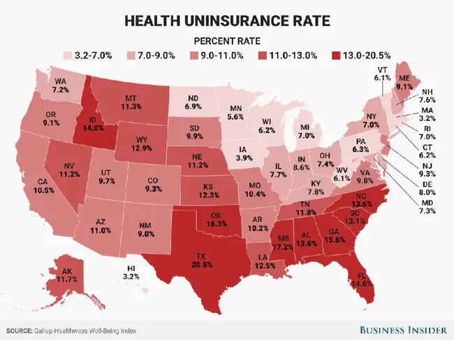 United States Insurance Operations : 美国保险业务