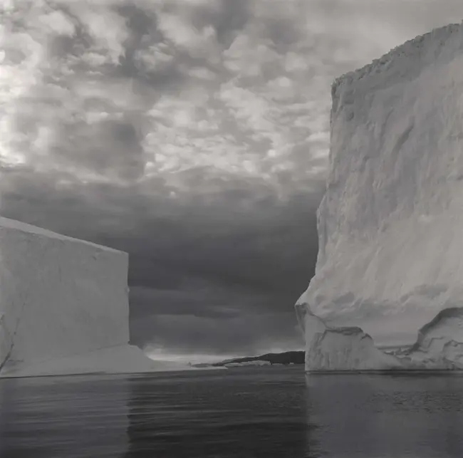 East Greenland Current : 格陵兰东流