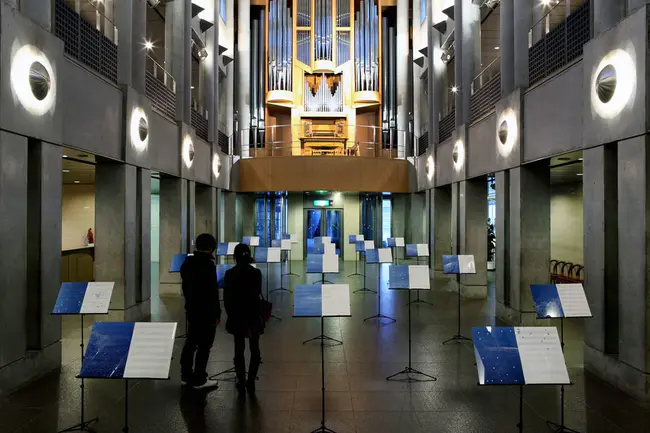 Ls Stands : LS林分