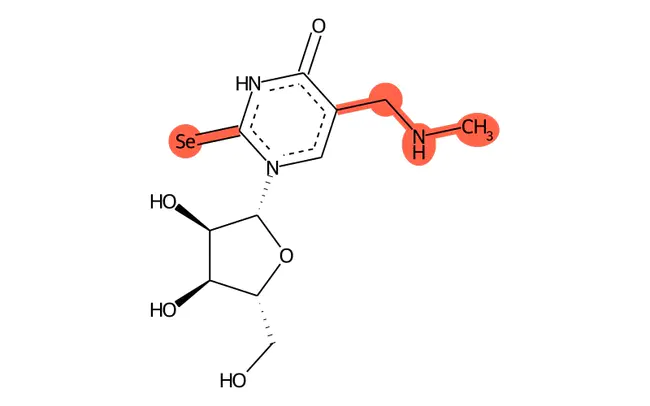 NEM (N-EthylMaleimide) Sensitive Factor : NEM（N-乙基马来酰亚胺）敏感因子