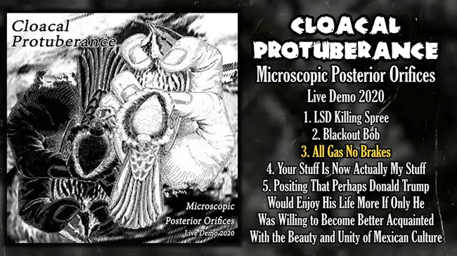 Cloacal Protuberance : 泄殖腔隆起
