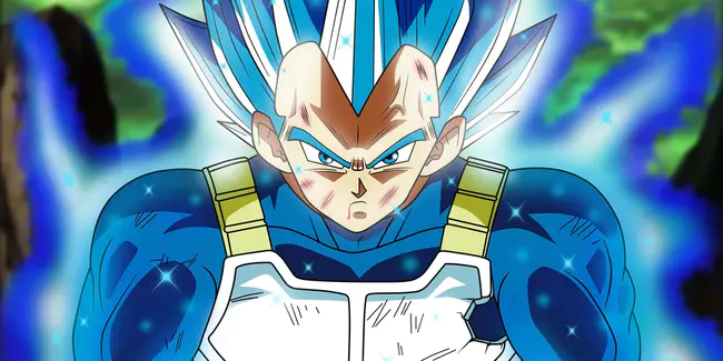 Vegeta Jr : 植物生长因子