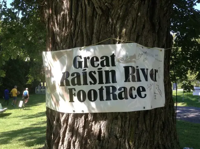 Local Committee : 地方委员会