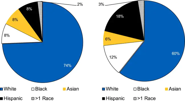 Community Ethnicity Type : 社区民族类型