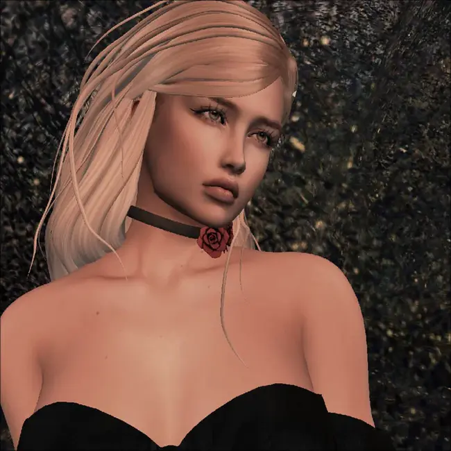 Canine tooth : 犬齿