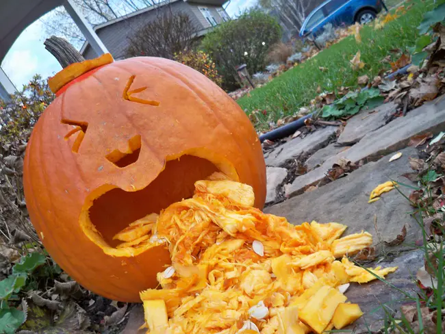 Puke Twice : 两次呕吐