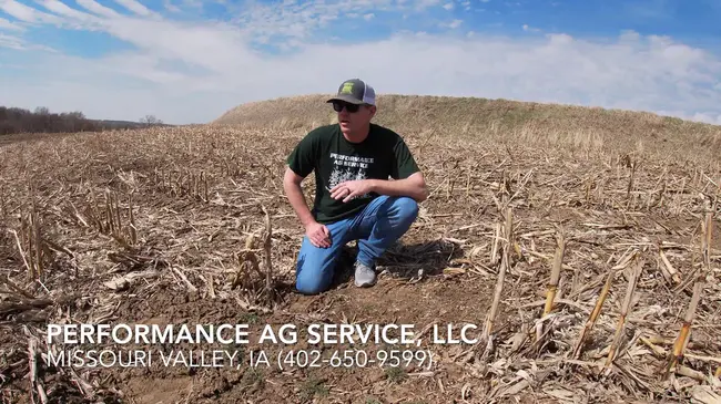 Multiple Field : 多场