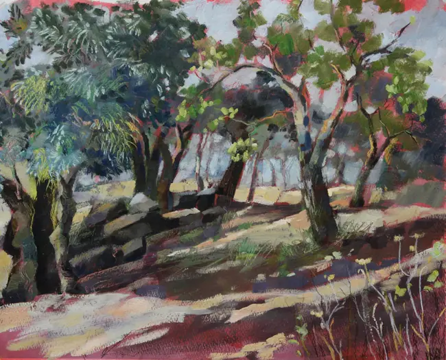 Poplar Grove Airport, Poplar Grove, Illinois USA : 美国伊利诺伊州杨树林机场