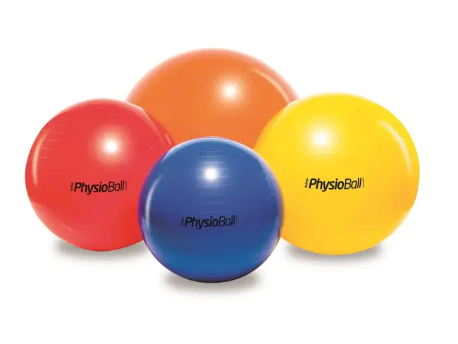 Physio Ball : 生理球