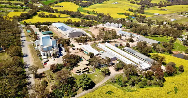 Riverina Anglican Youth : Riverina圣公会青年