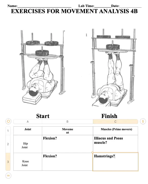 Movement Exercise Analgesics And Treatment : 运动锻炼镇痛剂及治疗