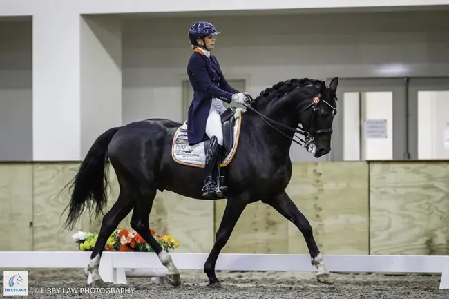 Intercollegiate Dressage Association : 校际盛装舞步协会