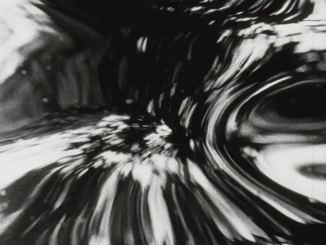 Watershed Habitat Evaluation Inventory : 流域生境评估清单