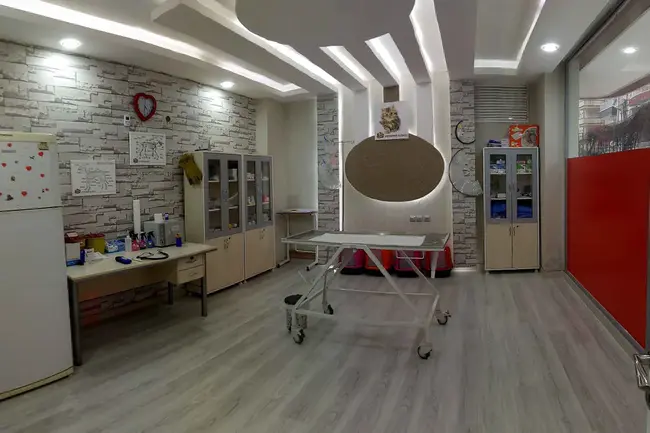 Center for Integrative Animal Health : 动物综合健康中心