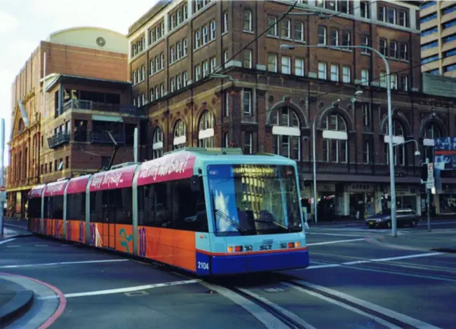 Save Our Scraps : 挽救我们的残羹剩饭