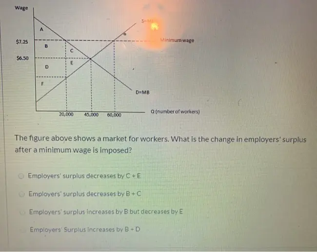 Wage Index Improvement Program : 工资指数改善计划