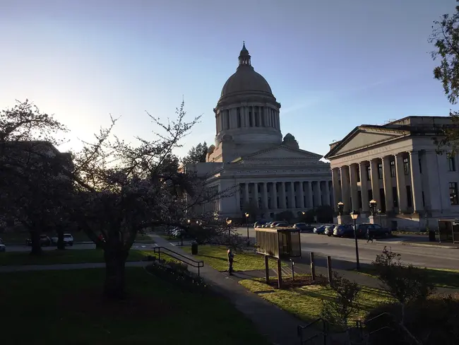 Washington Incident Management Team : 华盛顿事件管理团队