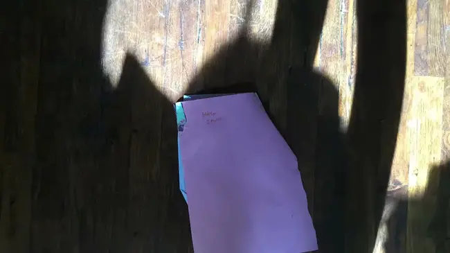 Presidents Award For Chapter Excellence : 主席章优秀奖