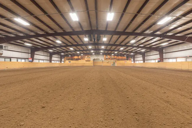 United Speed Alliance Racing : 联合速度联盟赛车