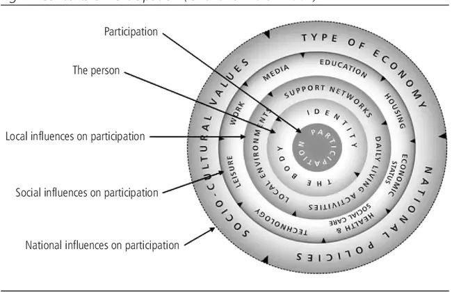 Occupational Performance Issue : 职业绩效问题