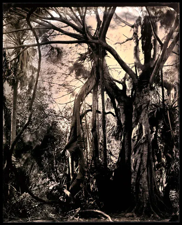 FM-99.7, Hilton Head Island, South Carolina : FM-99.7，南卡罗来纳州希尔顿黑德岛