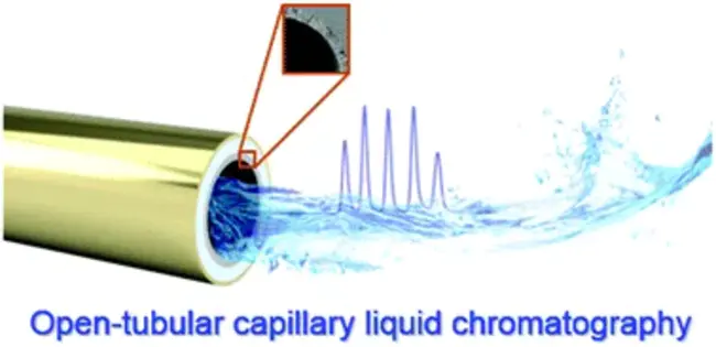 Capillary Liquid Chromatography : 毛细管液相色谱法