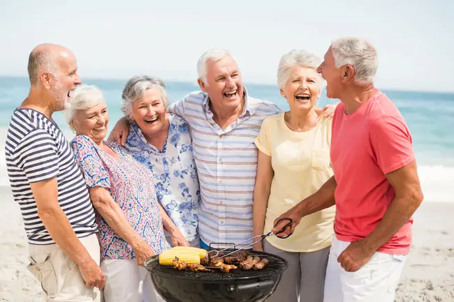 Seniors Agenda Independent Living : 老年人独立生活议程