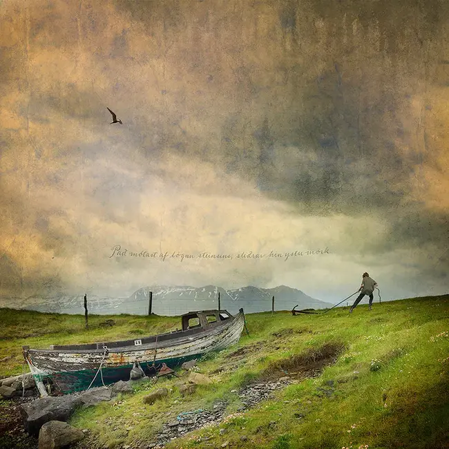 Membrane Anchor : 膜锚