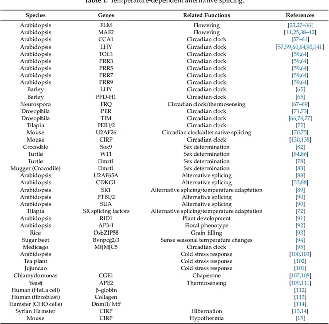 RNA-Induced Silencing Complex : RNA诱导沉默复合物