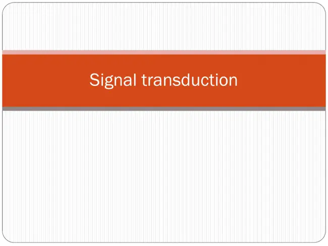 Signal Transduction And Activators Of Transcription : 信号转导和转录激活剂