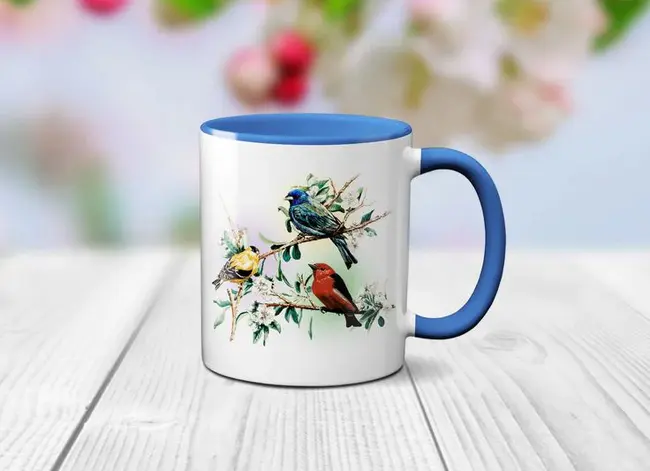 Bird-decorated coffee Mug : 鸟装饰咖啡杯