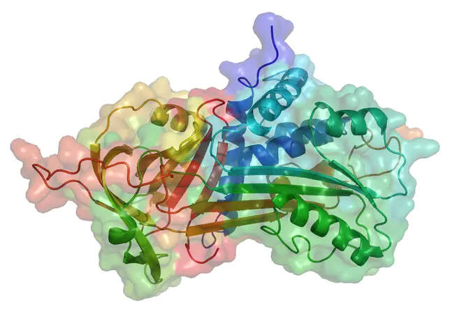 Antitrypsin Deficiency Assessment and Programme for Treatment : 抗胰蛋白酶缺乏评估和治疗方案