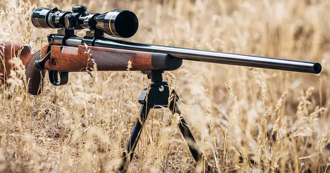 Winchester Multi- Cultural Network : 温彻斯特多元文化网络