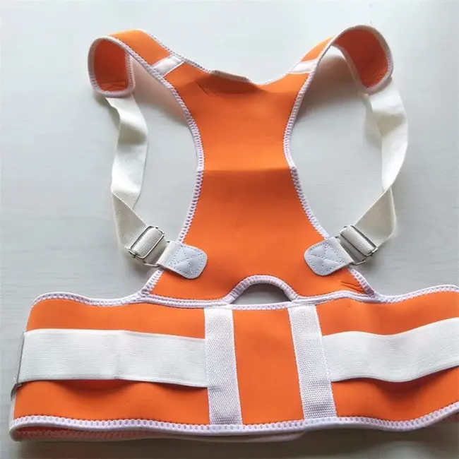 Weapons of Mass Destruction Working Group : 大规模杀伤性武器工作组