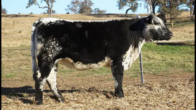 Sealed With A Loving Kiss : 用爱的吻封缄