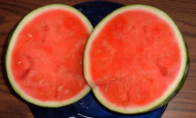 Watermelon- Infecting geminiVirus : 西瓜-感染双子病毒