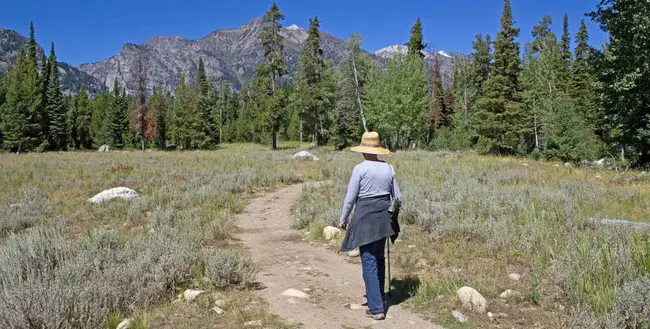 Wyoming Medical Society : 怀俄明州医学会