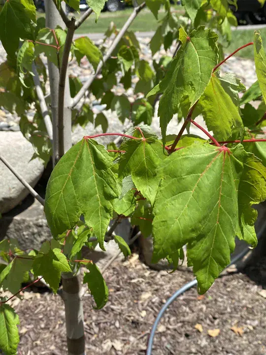 Chloride Moisture Test Kit : 氯化物水分检测试剂盒