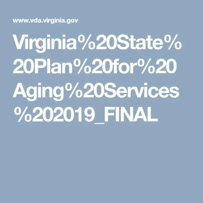 Medicaid State Plan : 医疗补助计划