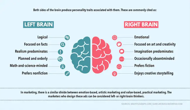 Brain Size : 脑大小