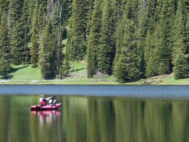 Wallowa- Whitman National Forest : 瓦洛瓦-惠特曼国家森林