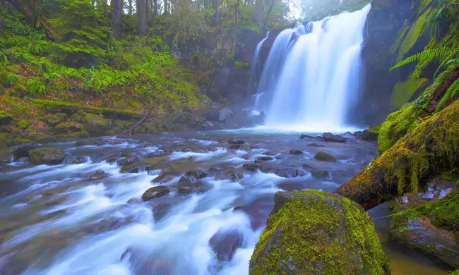 Willamette National Forest : 威拉米特国家森林