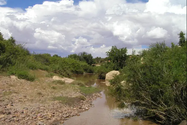 Rock Creek Ranch : 洛克溪牧场