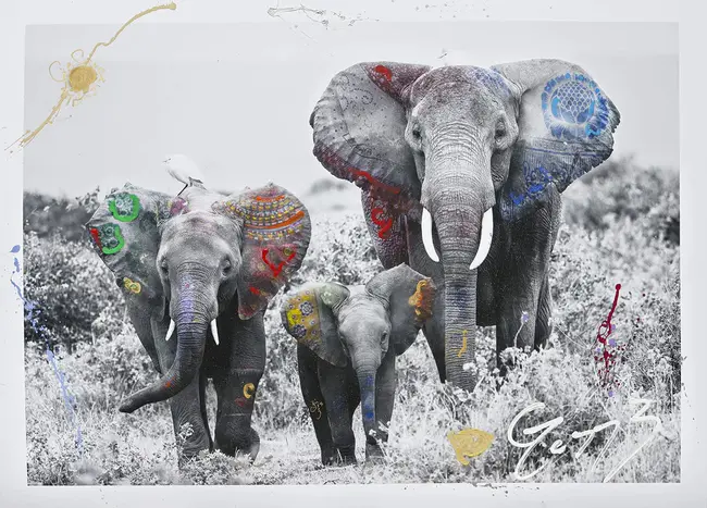 Wood, Dust Woven, Nylon : 木材、尘织物、尼龙