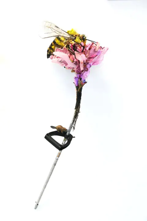 Colorado Weed Management Association : 科罗拉多州杂草管理协会