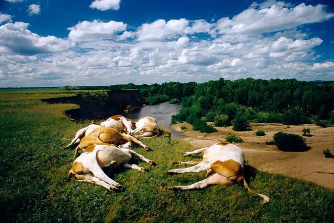 Port Keats, Northern Territory, Australia : 济慈港，北领地，澳大利亚