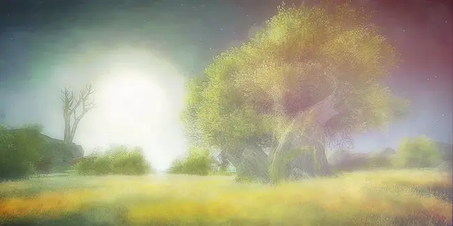 Word OF Grace : 格瑞丝的话