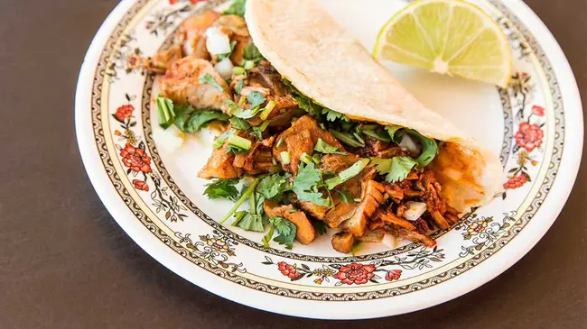 Little Texan : 小得克萨斯